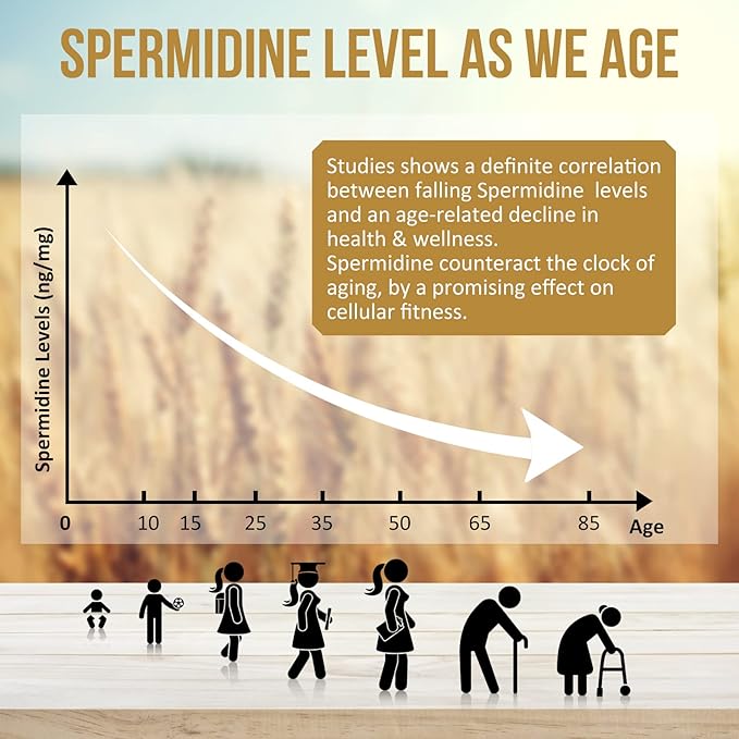 Spermidine Wheat Germ Extract Capsules - 13mg Spermidine Supplements 1300mg Potent Formula with Higher Spermidine Content and Zinc for Healthy Aging, Daily Immune System and Cell Renewal,3 Pack