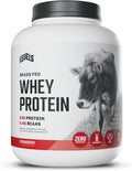 Levels Grass Fed Whey Protein Powder, No Artificials, 24G of Protein, Strawberry, 5LB | 24G of protein and 5.4G BCAAs per scoop, made with hormone-free dairy, zero junk, no fillers, no added sugar, certified clean