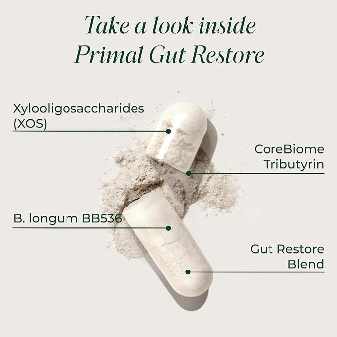 Primal Harvest Restore for Gut Health, Primal Gut Restore w/POSTbiotics, PREbiotics and PRObiotics for Women and Men, 60 CT - Digestion, Colon Cleanse, Immunity Support - Helps Leaky Gut Repair