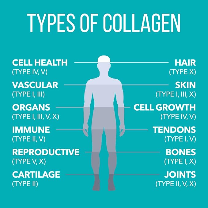 NaturesPlus Collagen Peptides - 0.65 lbs Powder, Pack of 2 - Hair, Skin, Nail & Joint Health, Immune System Support - Non-GMO, Gluten Free - Up to 56 Total Servings