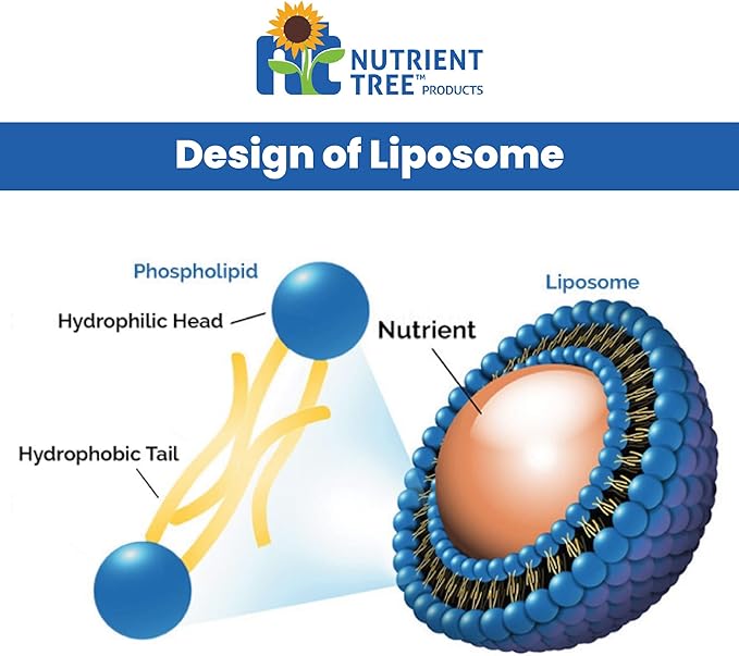 Liposomal Vitamin C | Alcohol Free | Non-Soy | Non-GMO | Made in USA