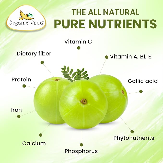 Organic Veda Amla Capsules - 1500mg, 300 Capsules - Natural Vitamin C Supplement with Antioxidants, Polyphenol for Immunity, Skin Glow & Hair Growth - Single Origin Premium Organic Amla Fruit Powder