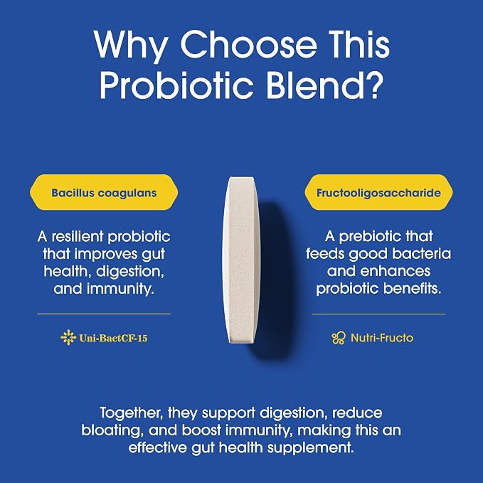 Nutrition Essentials Probiotics for Women and Men with Natural Lactase Enzyme & Prebiotic Fiber for Digestive Health - 80percent + Stronger Supplement for Gut Health Support - 3 Count of 60 Tablets