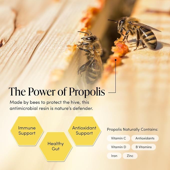 Propolis Throat Spray by Beekeeper's Naturals - 95% Bee Propolis Extract, Natural Immune Support & Sore Throat Relief - Antioxidants, Keto, Paleo, Gluten-Free (1.0 oz)(Pack of 1)