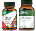 Floradix Iron + Herbs - Iron Supplement for Healthy Energy Support* & Gaia Herbs PRO AMPK Activator - Supports Cellular Energy - Bundle (Pack of 2)