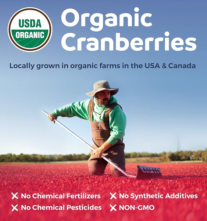 Organic Cranberry Pills - Vegan Supplement for Urinary Tract Health & Kidney Cleanse - Cranberry Pills for Women 500mg 50:1 Cranberry Concentrate Per Serving - Urinary Tract Support - 60 Capsules