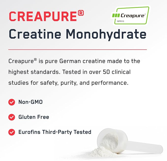 SteelFit Creapure Pure Creatine Monohydrate Powder for Men & Women, Watermelon - Flavored Creatine Gym Workout Supplements for Lean Muscle Gain, Brain Health & Strength Building - 30 Servings