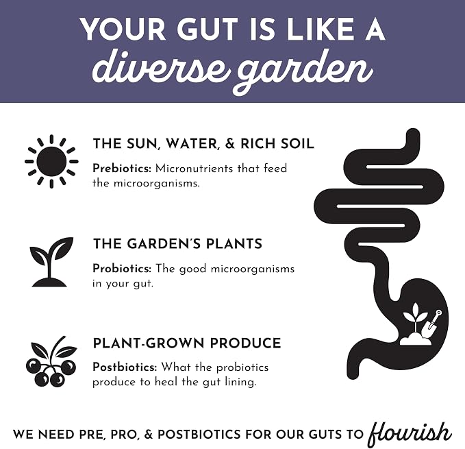 JUST INGREDIENTS Elderberry Lemonade 3-in-1 Probiotic Complex - Prebiotics, Probiotics & Postbiotics - 30 Sticks