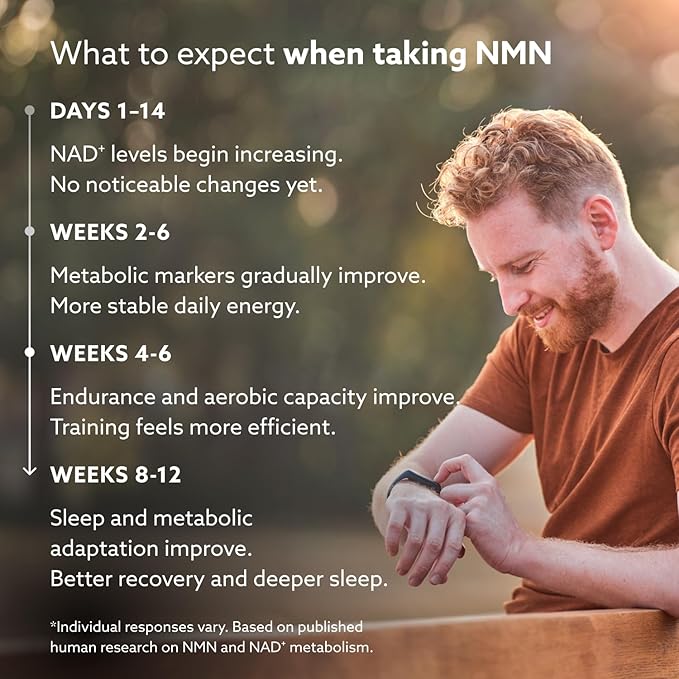 PUROVITALIS NMN Powder, 99% Pure Longevir Nicotinamide Mononucleotide Supplement, NAD+ Boost for Cellular Health, Energy & Healthy Aging, 2-Month Supply (30g)