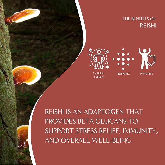 Teeccino Reishi Eleuthero Tea - French Roast - Organic Mushroom Adaptogenic Herbal Tea, 3x More Herbs than Regular Tea Bags, Caffeine Free, Chicory Prebiotic - 25 Tea Bags