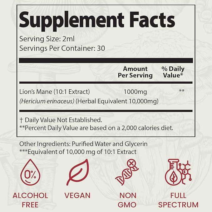 Auri Nutrition Lion’s Mane Liquid Elixir - Brain Supplements for Memory and Focus with Functional Mushrooms - Lions Mane Supplement, Full Spectrum Lion's Mane Extract - No GMO, Vegan Mushroom Tincture