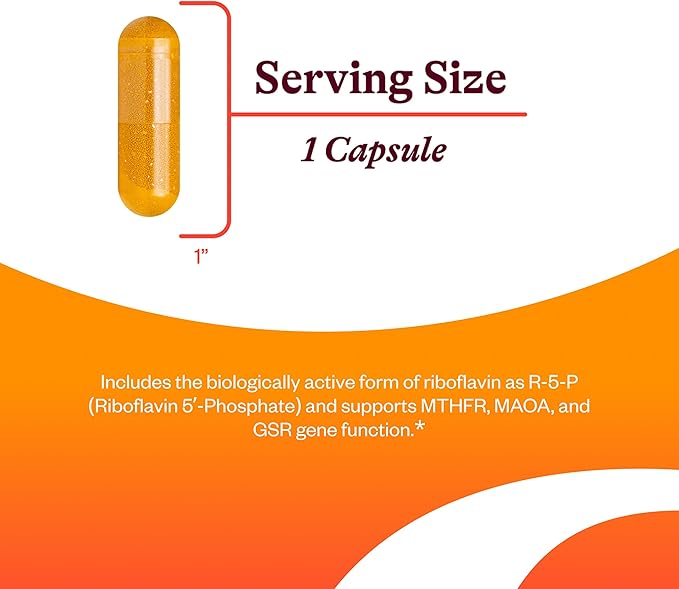 Seeking Health Riboflavin - Vitamin B2 Supplement for Methylation Support - Support Homocysteine Metabolism with Antioxidant Ingredients - 400 mg, 60 Capsules