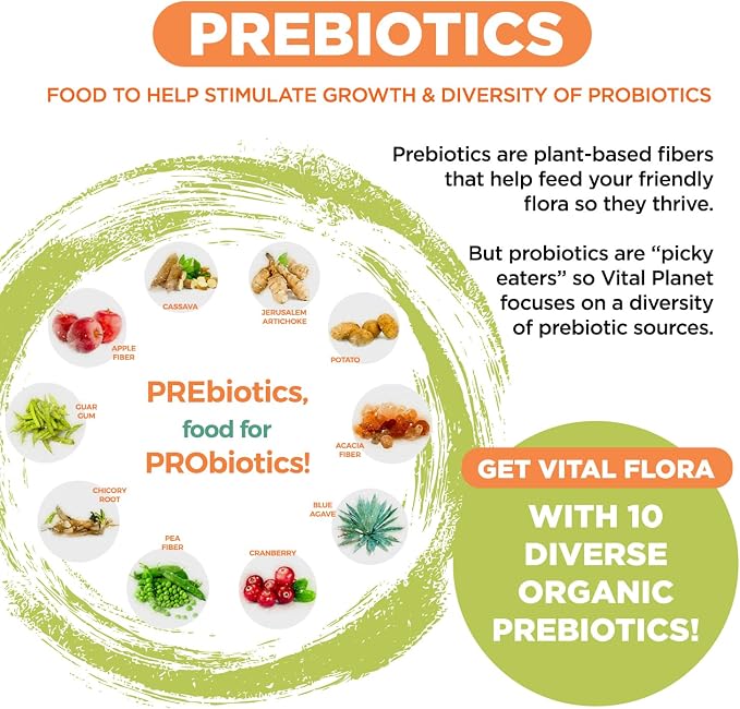 Vital Planet - Vital Flora Advanced Biome Probiotic 100 Billion CFU, 100 Diverse Strains, 10 Organic Prebiotics, Immune Support, Colon and Digestive Health Probiotics for Women and Men 30 Capsules