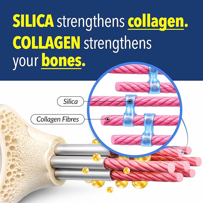 LABO Nutrition Bioactive Silica – Hair, Skin, Nails, Collagen Formation, Joint & Bone Strength – Support Bone Health & Collagen Booster– 99% Purity Rice-Derived Silica Supplement, 30 Vegan Softgel x 3