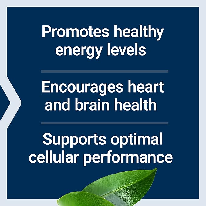 Life Extension L-Carnitine – 500 mg, Energy & Memory Supplement – Free Form Amino Acid, Nitric Oxide Support, Healthy Blood Pressure | Gluten-Free, Non-GMO, Vegetarian | 30 Capsules (Pack of 2)
