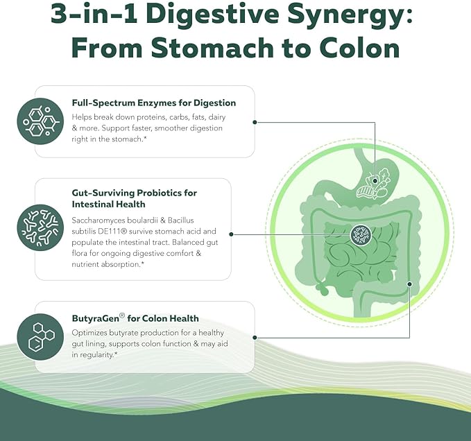 Flora Digest - 3-in-1 Max Strength Digestive Enzymes + Gut Surviving Probiotics & ButyraGen® Postbiotic for Optimal Digestion, Bloating Relief, Regularity, Gut Lining & Colon Support - (30 Capsules)