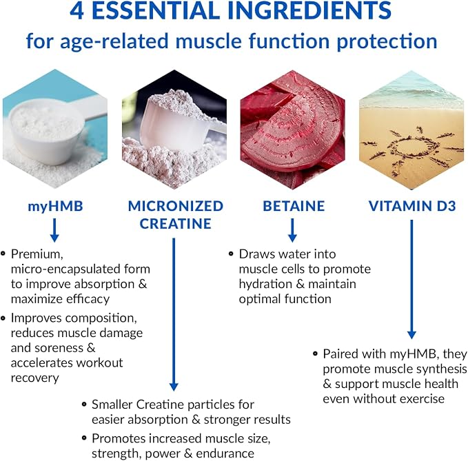 BioTrust Ageless Muscle Builder - Creatine HMB Powder with Vitamin D3 & Betaine - Build & Preserve Naturally Declining Muscle Mass & Strength - Citrus Splash, 30 Servings