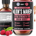 HERBIFY Lions Mane Supplement - Daily Mushroom Supplement for Memory, Focus & Clarity - Brain Booster - Lions Mane Tincture for Natural Immune Support - 4 Fl Oz Raspberry Flavor