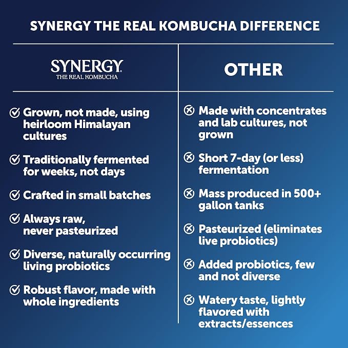 SYNERGY The Real Kombucha - Gingerberry - 16 fl oz Bottle - Raw Probiotic Drink for Gut Health and Immune Support