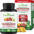ForestLeaf Berberine Supplement - 1300mg per Serving - Ultra High Potency Berberine HCl with Ceylon Cinnamon, Bitter Melon & Gymnema - Weight Management Support - 180 Caps