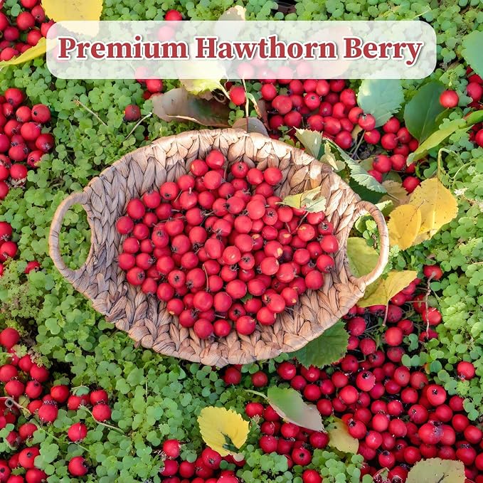 FullChea - Hawthorn Berry Tea Bags, 50 Count, Dried Hawthorn Berries | Pure hawthorn berry tea rich in natural antioxidants, Non-GMO caffeine-free, easy to brew hot daily