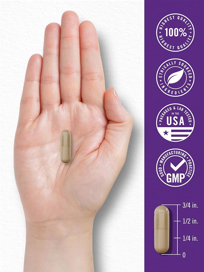 Carlyle Probiotic | 15 Billion CFU | 30 Capsules | 10 Probiotic Strains with Prebiotic Fiber | Delayed Release | Non GMO, Gluten Free
