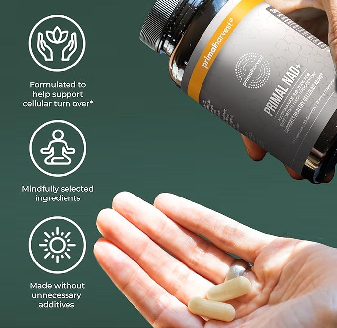 Primal Harvest NAD+ Supplement: Nicotinamide Riboside, Trans-Resveratrol, Betaine, CoQ10, NAD Supplements for Cellular Health, Energy, and Mitochondrial Support (60 Count (1 Pack)