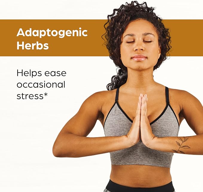 Organic Ashwagandha Capsules 120 Count | 4 in 1 with Zinc, Black Pepper & Holy Basil Extract | Immune Health, Extra Strength Stress, Mood & Energy Support | Non-GMO | For Men & Women | 2 Month Supply