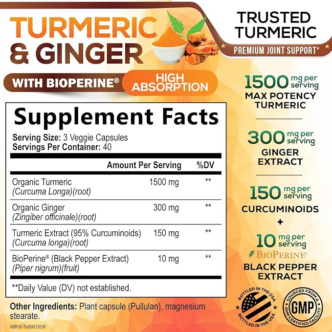 Turmeric Curcumin Supplement - 95% Curcuminoids with Organic Turmeric & Ginger, BioPerine Black Pepper Extract for Best Absorption, Natural Vegan Joint Support, Non-GMO, Bottled in USA - 120 Capsules