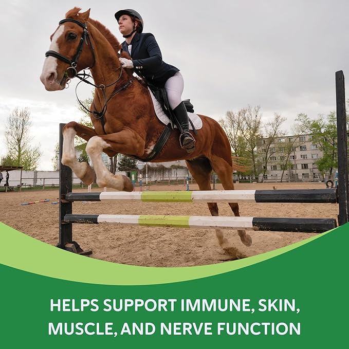 Vitamin E Supplement for Horses, High-Potency dl-Alpha Tocopherol Powder, Supports Immune Muscle Skin and Nerve Wellness, Low Sugar Starch and Fructans (60 Servings)