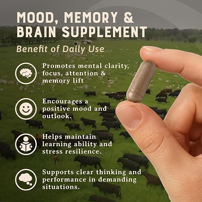 HEART & SOIL – 100% Grass Fed & Finished Beef Brain Supplement from Regenerative Cattle – for Cognitive Function & Memory – 3000mg Focus Supplement with Beef Organs – Glass Bottle – 180 Capsules