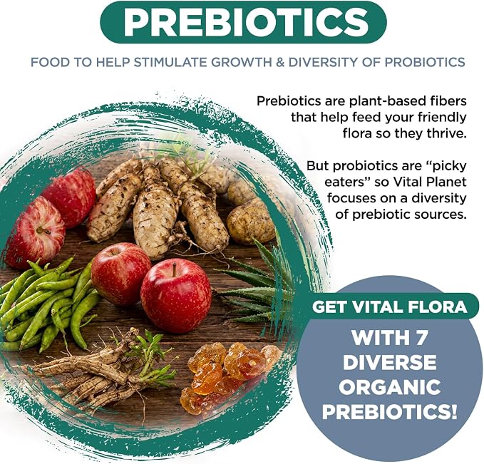 Vital Planet - Vital Flora Probiotics for Men, 60 Billion CFU, 60 Diverse Strains, 7 Organic Prebiotics, Men’s Daily Shelf Stable Probiotic for Immune Support, Gas Relief, Digestive Health 30 Capsules