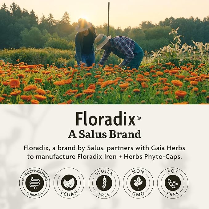 Floradix Iron + Herbs - Iron Supplement for Healthy Energy Support* & Gaia Herbs PRO AMPK Activator - Supports Cellular Energy - Bundle (Pack of 2)