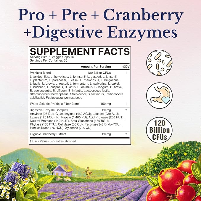 Vitalitown Probiotics for Women 120 Billion CFUs, 30 Strains, with Prebiotics & Digestive Enzymes & Cranberry, Gut & Vaginal Health, Vegan 60 (Pack of 2) Delayed Release Caps
