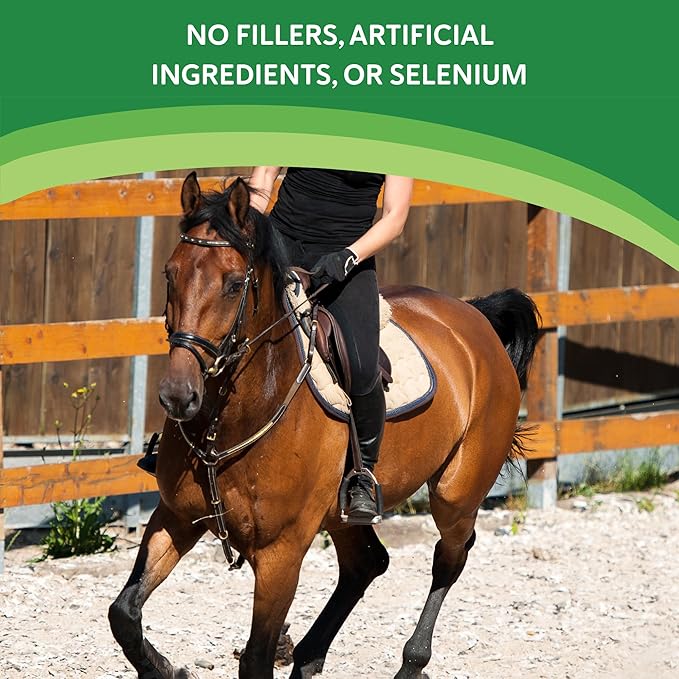 Vitamin E Supplement for Horses, High-Potency dl-Alpha Tocopherol Powder, Supports Immune Muscle Skin and Nerve Wellness, Low Sugar Starch and Fructans (60 Servings)