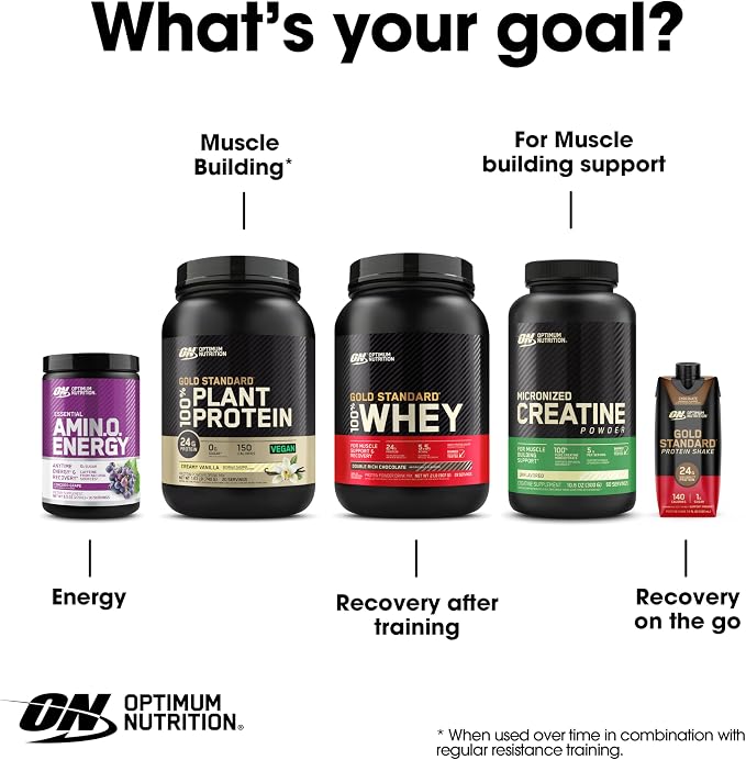 Optimum Nutrition Amino Energy - Pre Workout with Green Tea, BCAA, Amino Acids, Keto Friendly, Green Coffee Extract, Energy Powder - Orange, 9.5 Ounce, 30 Servings (Packaging May Vary)