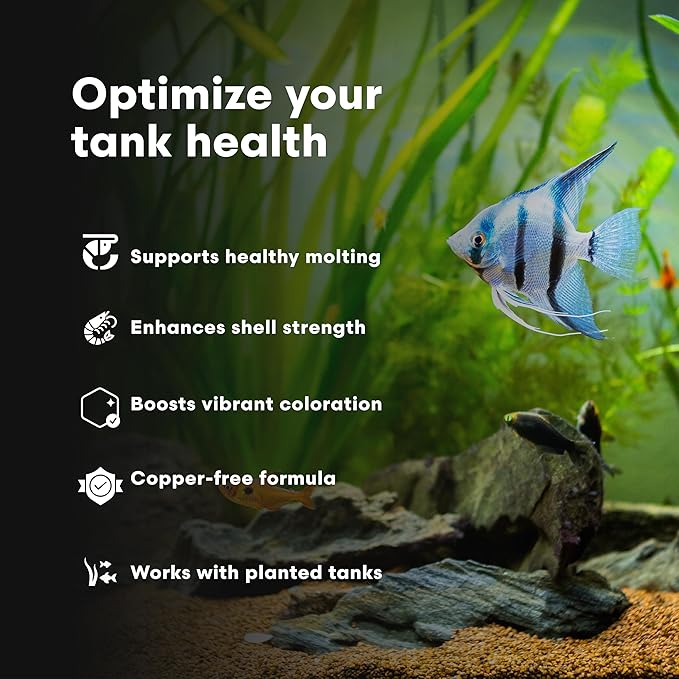 Brightwell Aquatics Florin-I Iodine Supplement for Crustaceans – Supports Molting, Growth & Shell Strength – Safe for Freshwater, Brackish & Planted Tanks, 20L