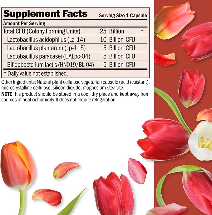 ANDREW LESSMAN Ultimate Friendly Flora Probiotic 120 Capsules - 25 Billion CFU, Comprehensive Blend of Five Probiotic Strains, Powerful Immune and Digestive Support. Probiotics for Women or Men