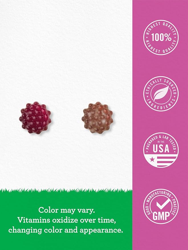 Carlyle Elderberry Gummies for Kids | 120 Count | Zinc and Vitamin C | Berry Flavor | Vegan, Non-GMO, and Gluten Free | by Lil' Sprouts