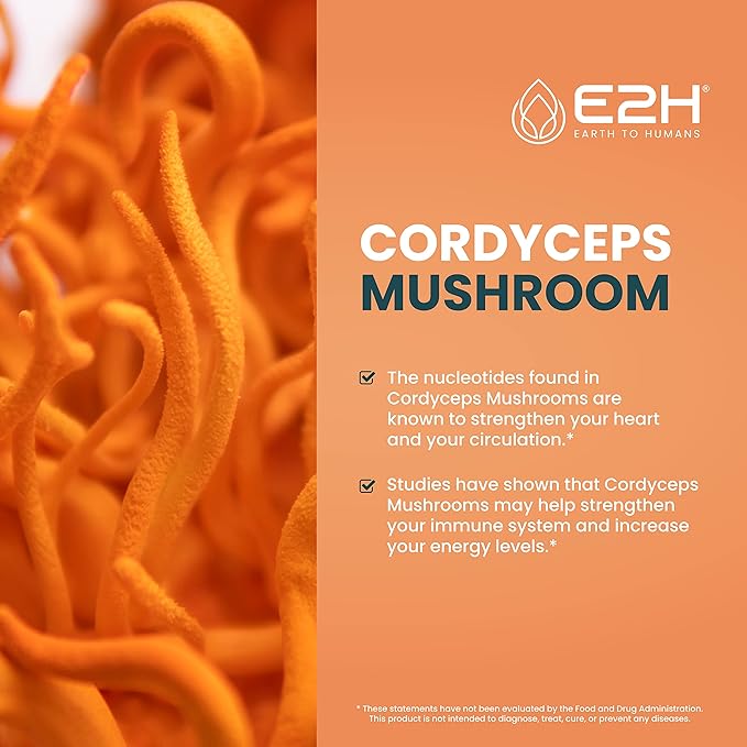 Cordyceps Mushroom Supplement - Faster Absorption Than Cordyceps Mushroom Capsules or Powder - Our Cordyceps Extract Promotes Energy & Stamina Support - Mushroom Extract - 2 Fl Oz by E2H