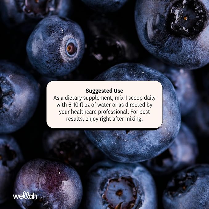 Wellah Creatine for Women - Creatine Monohydrate with Dandelion & Cranberry Extract (50 Servings, Blueberry Pomegranate)