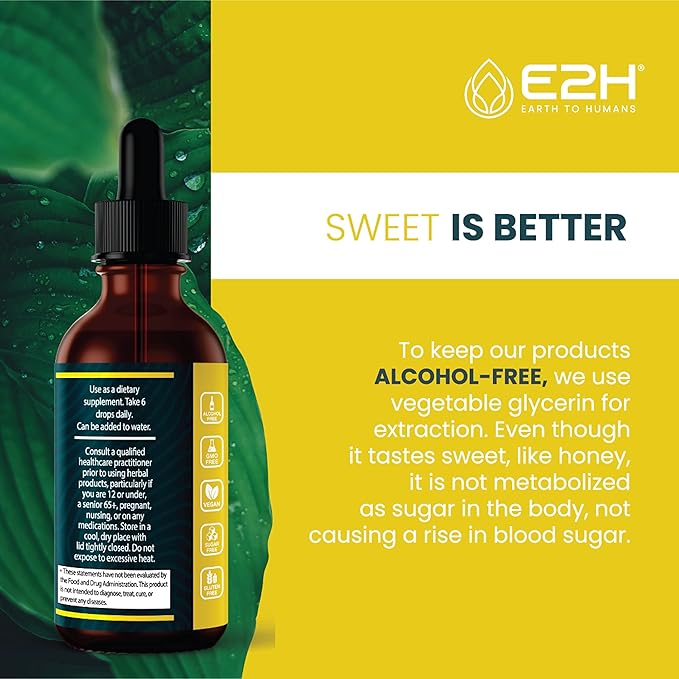E2H Vegan Liquid Iodine - Thyroid Support and Cognitive Function - Boost Your Metabolism and Energy Levels - Vegan - Non-GMO (2 Bottles)