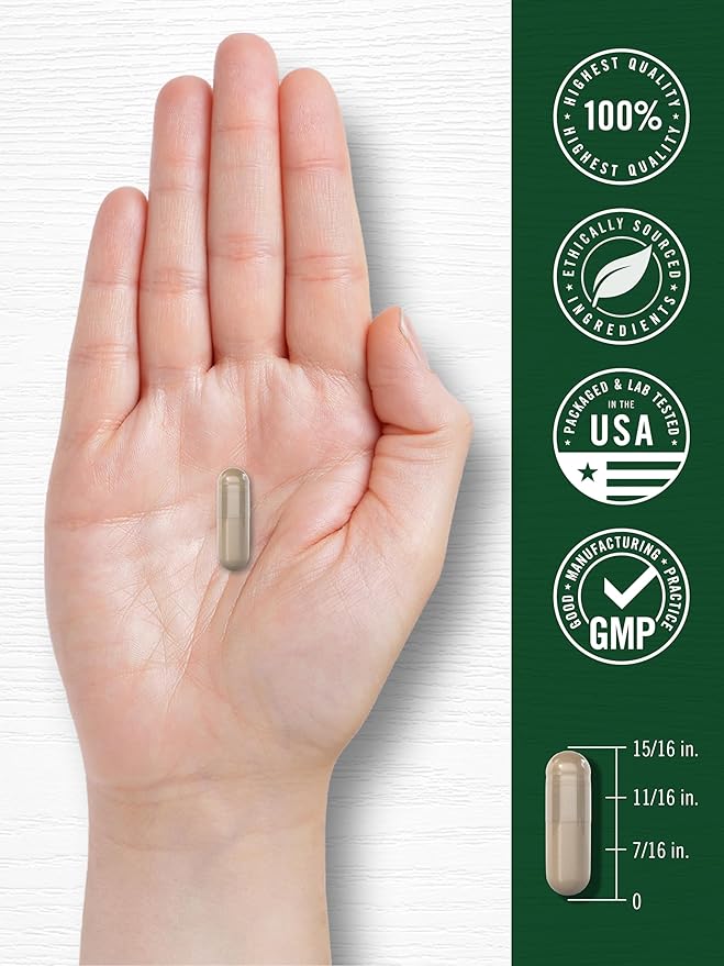 Carlyle Saw Palmetto for Men and Women | 250 Capsules | Herb Extract Supplement | Serenoa Repens | Non-GMO and Gluten Free