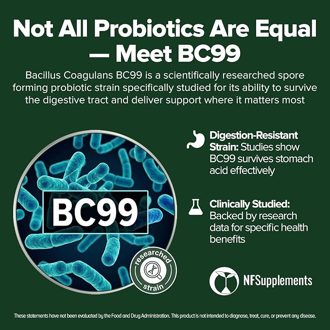 Bacillus Coagulans Probiotic 240 Tablets (4 Month Supply) - 3 Billion CFU Researched Strain BC99 - Supports Digestive Health & Gut Comfort – GMP Certified (240, Bacillus Coagulans)