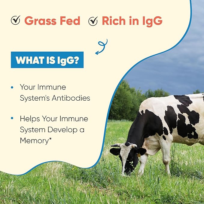 Sandhu's Grass Fed Bovine Colostrum Powder for Humans, Adults | 65 Servings (Pack of 1) Cows Supplement | High IgG for Gut Health | Immunity & Muscle Recovery Support | Unflavored | for Men & Women