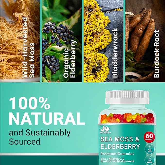 BIO VITALICA Irish Sea Moss Gummies with Elderberry – USA Made Vegan Gummies with Vitamin C, D & Zinc – Immune Support Supplement with Bladderwrack & Burdock Root for Adults & Kids – 3 Packs