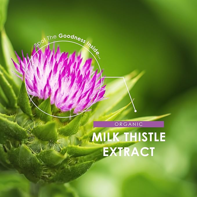 Organic Milk Thistle Extract – 80% Silymarin Flavonoids (200mg) – 60 Vegan Capsules - Standardized and Concentrated 30X Extract