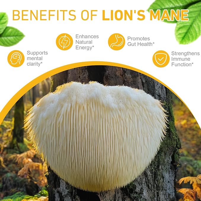 Lions ManeMushroom Drops – Brain Supplement 120,000 MG, Memory Focus & Immunity Vitamins, Plant Extract 2Oz