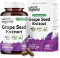 Wild & Organic Grape Seed Extract Capsules - Antioxidant Support - Grapeseed Extract 400 mg - 95% Polyphenols - 120 Vegan Capsules - 4 Month Supply - Non-GMO