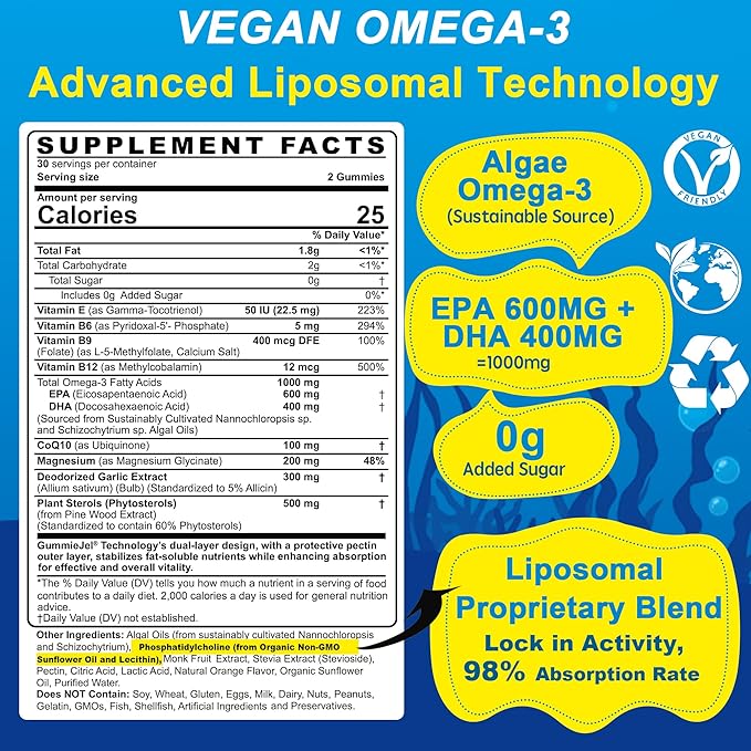 Vegan Omega-3 Gummies 1000mg +CoQ10+Magnesium- EPA 600mg DHA 400mg, Fish Oil Omega 3 Supplements Alternative for Women Men Adults, Liposomal, Algae, Plant Sterols, Garlic,B6,B9, B12, Sugar Free, 2Pack